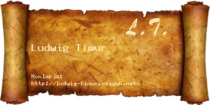 Ludwig Timur névjegykártya
